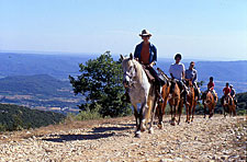 France-Provence-A Taste of Provence